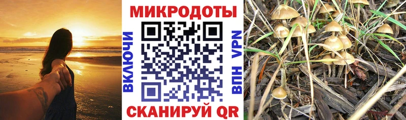 Купить  Курильск  Галлюциногенные грибы ЛСД 